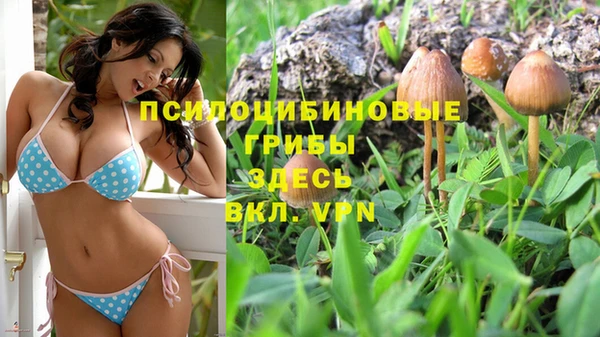 ALPHA-PVP Беломорск